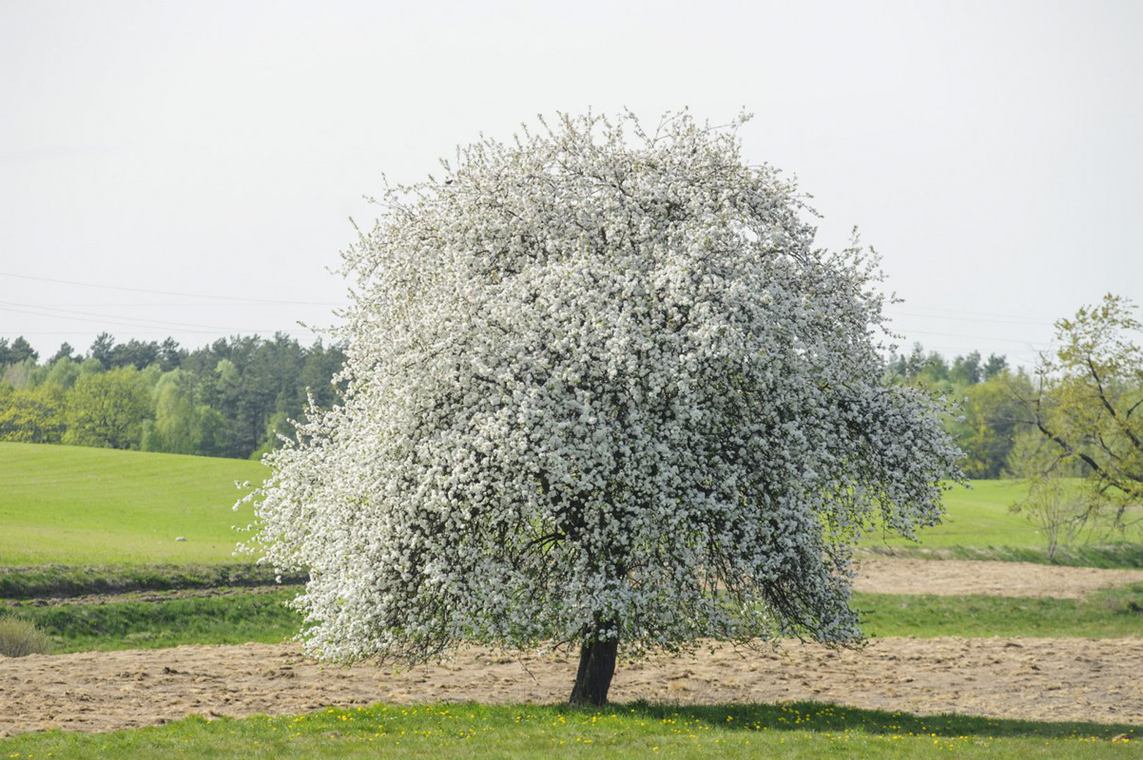 srebrny-klon-pensjonat-kaszuby-salon-5